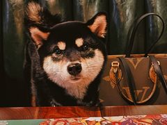 -BOTTEGA意库(中骏世界城店)