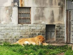 -西安秦岭野生动物园