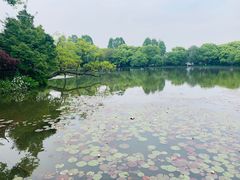 -西湖游船