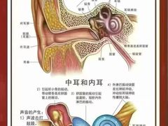 -自然之声助听器(平凉店)