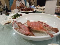 -津悦·正阳春烤鸭(红旗南路店)