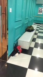 点击看大图 -单色舞蹈