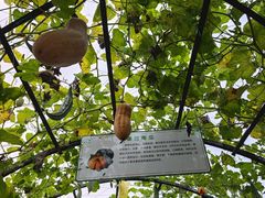 -中国天府农业博览园