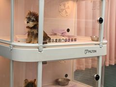 -翊宠yipet猫狗购宠庄园