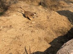 -宁波野生动物园