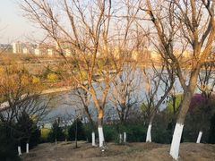 -山东理工大学
