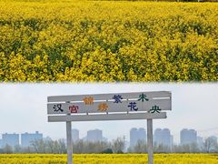 -汉长安城未央宫国家考古遗址公园