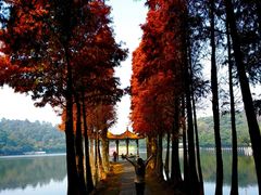 -西樵山风景名胜区-天湖公园