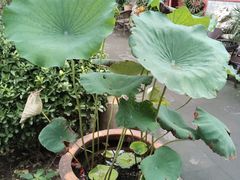 -正阳书局(西四南大街店)