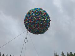 -黄海国家森林公园