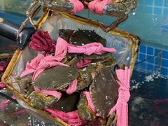 -辣螃铠盆盆蟹大排档(总店)