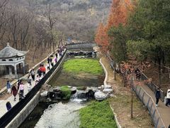 -白水寺森林公园