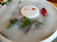 特色鲜毛肚-一斗火锅·招财羊毛肚(北温泉九号店)