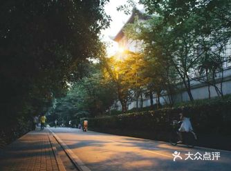 如何看待武大转专业热潮