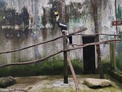 -杭州野生动物世界
