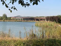 景点-淇河国家湿地公园