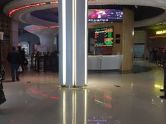 -奥斯卡升龙国际影城(RealD Cinema)