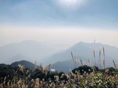 -梧桐山风景名胜区