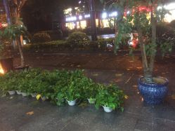 点击看大图 -青木造型HAIR·あおき髪を刈る潮人店