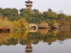 景点-张坝桂圆林公园