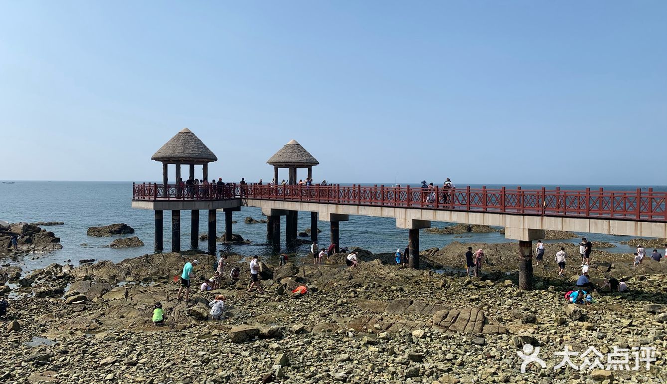 打卡✅抖音网红养马岛🌊🌊