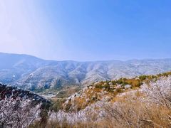 -香山公园