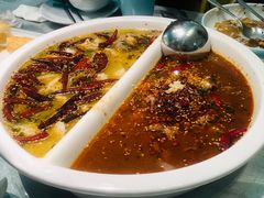 -姚姚酸菜鱼·金戈戈香港豉油鸡(喜荟城联名店)