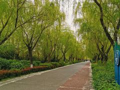 -灞河西岸滨河公园