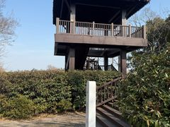 -长兴太湖图影湿地文化园