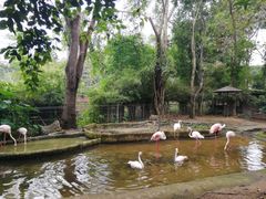 -清迈夜间动物园