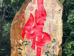 -深圳仙湖植物园