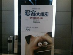 -乐汇城