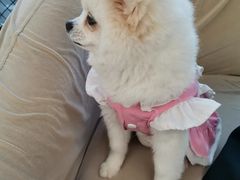 -怪兽屋·羊驼·猫咖·狗咖(俊华广场店)