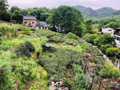 -杭州西湖风景名胜区-满觉陇四眼井