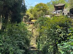 -青城山