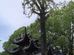 -西园戒幢律寺