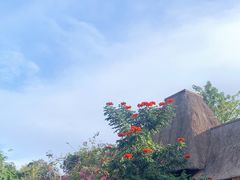 -亚龙湾热带天堂森林公园