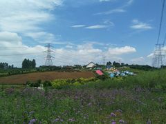 -紫颐香薰山谷景区