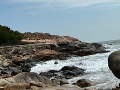 -广东惠东海龟国家级自然保护区
