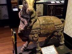 信不信由你博物馆-信不信由你博物馆