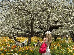 -名花谷生态庄园