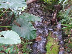景点-龙山酒店温泉
