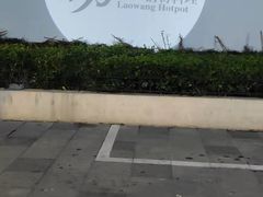 -捞王锅物料理(凯旋路店)