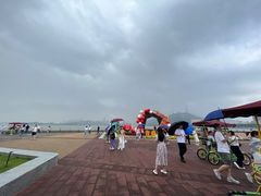 -野狸岛