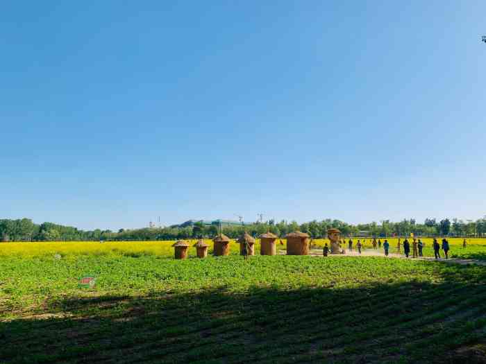 怪村都市农业体验园-"休息和哥们出游怪村,田园生活都市中体验农.