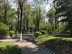 -济南植物园