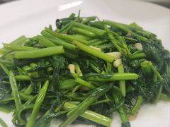 -梅子大排档
