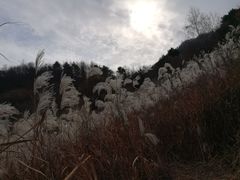 -石砭峪水库