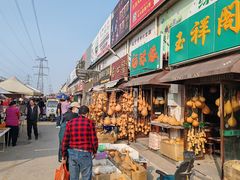 -中环花鸟鱼虫市场