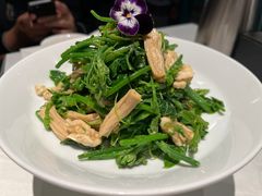 橄榄油鲜腐竹拌丝瓜尖-北平楼·烤鸭·北京菜(牡丹园店)